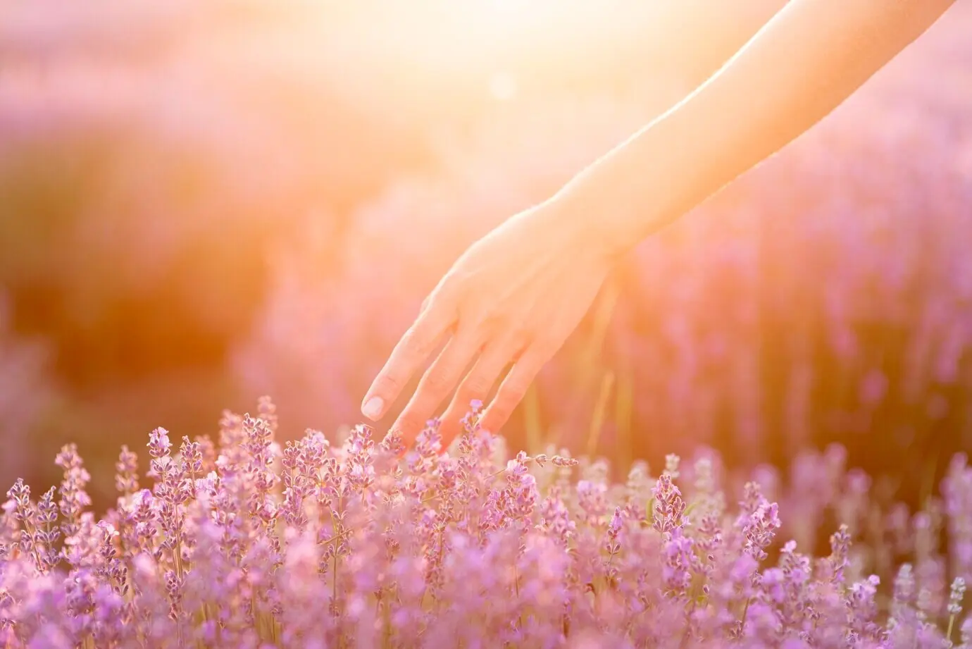 Концепция прекрасного наслаждения природой